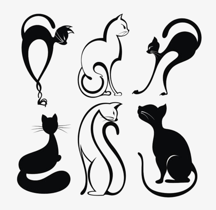 黑色猫剪影