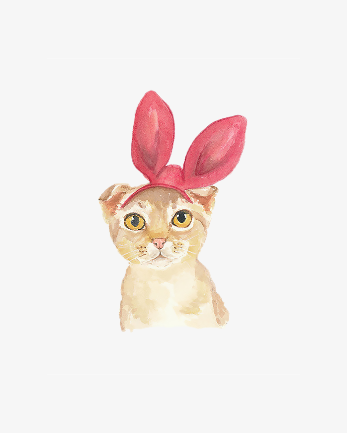 卡通萌猫