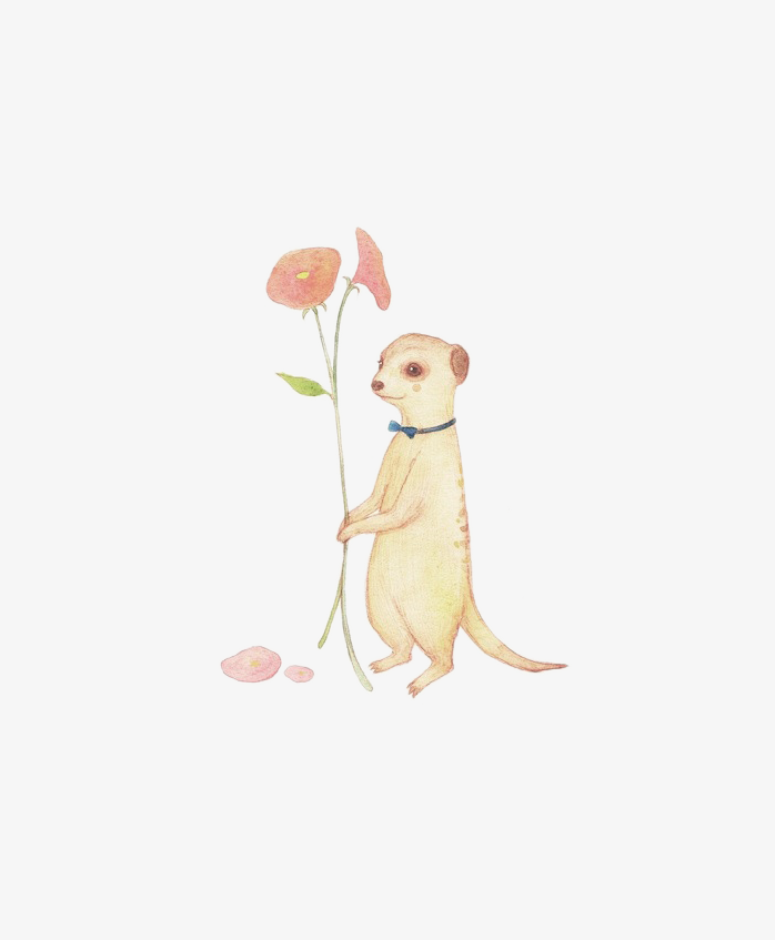 手绘黄鼠狼