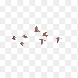 手绘飞翔的鸟群