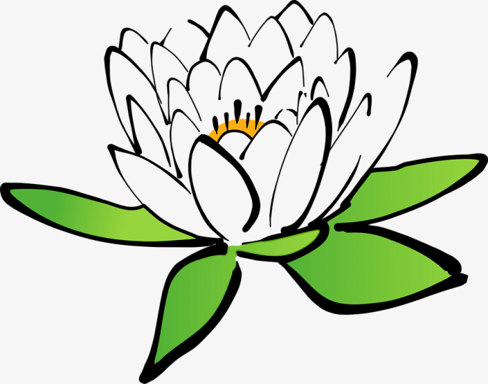 卡通白色荷花
