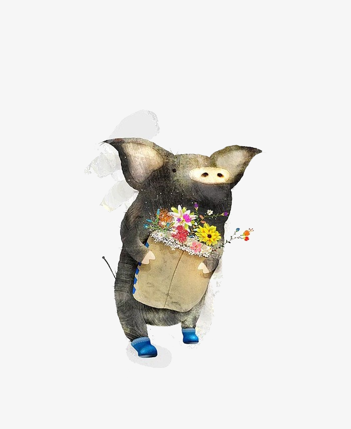 黑猪