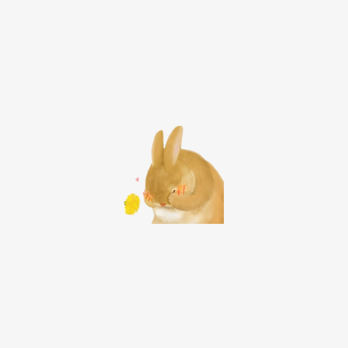 害羞的兔子