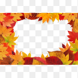 枫叶边框