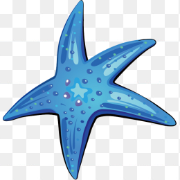 蓝色海星