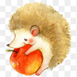 刺猬