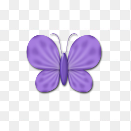 紫色蝴蝶