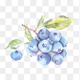 蓝莓