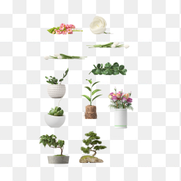 各种盆栽合集