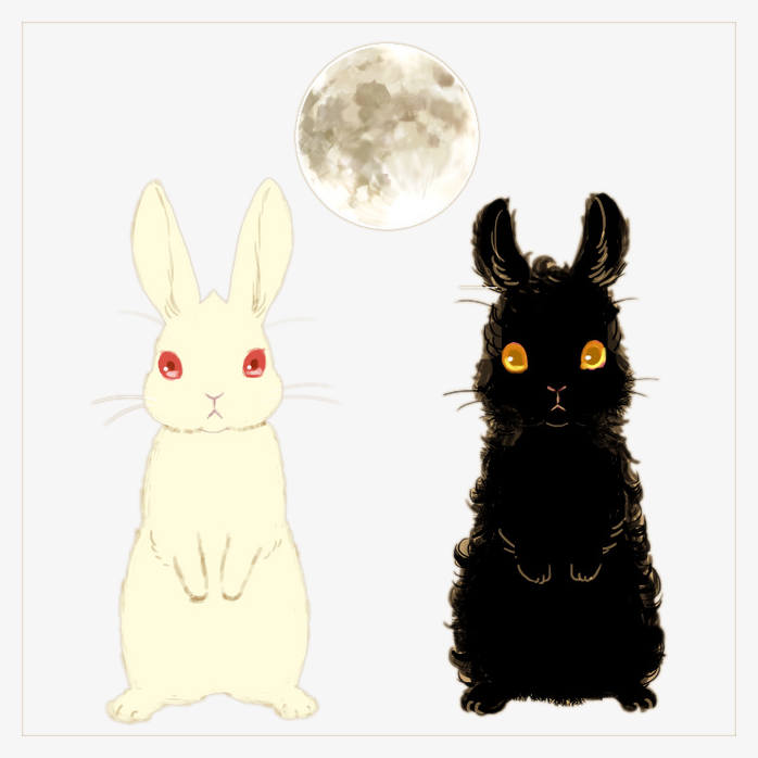 黑兔子与白兔子