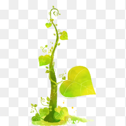 唯美清新树树叶树藤