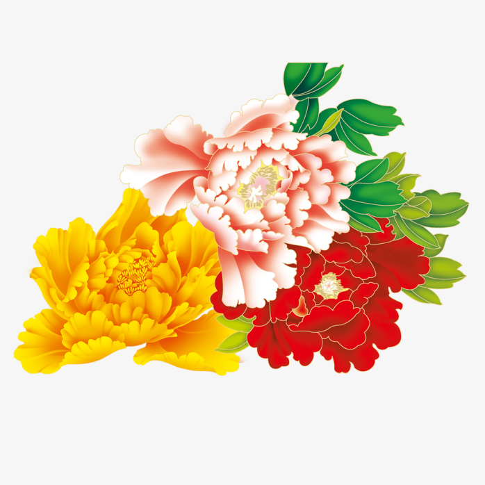 牡丹花