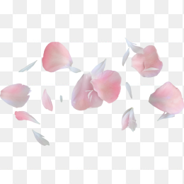 花瓣