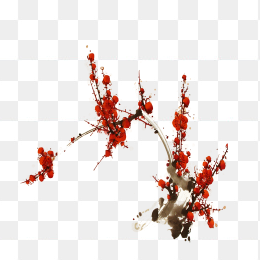腊梅