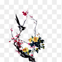 腊梅