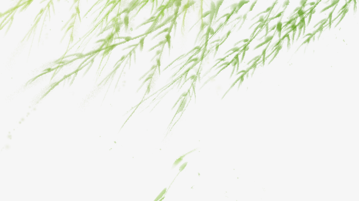 柳树