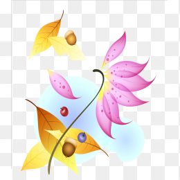 叶子花纹