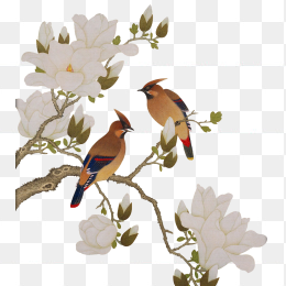 花鸟