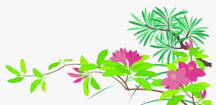 卡通花树枝