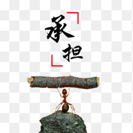 承担