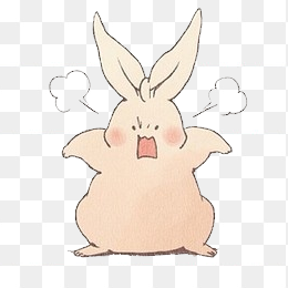 生气的兔子