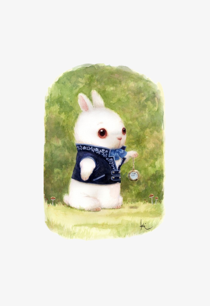 可爱兔兔