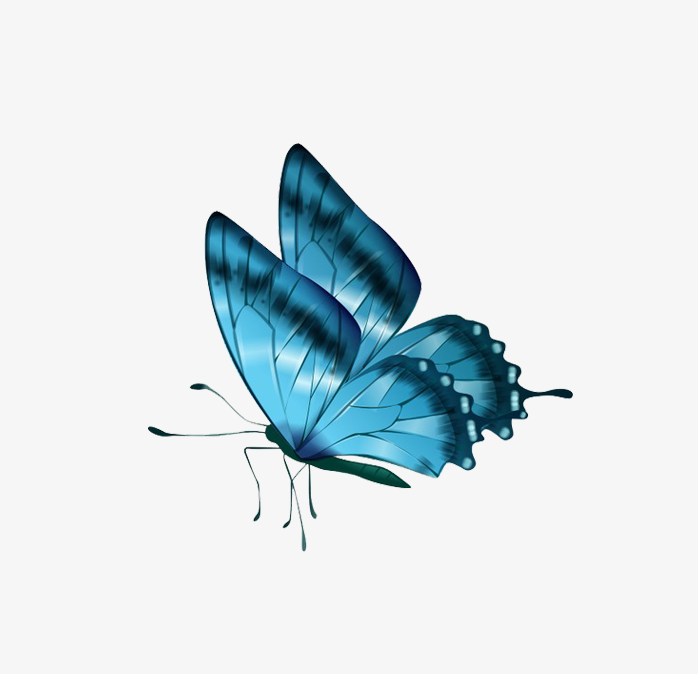 蓝色唯美蝴蝶