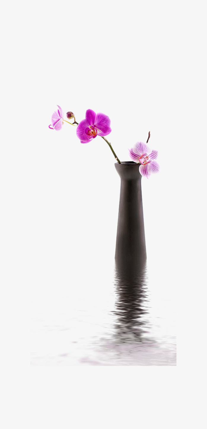 花艺