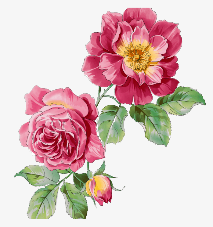 水粉玫瑰花