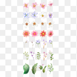 各种手绘花瓣合集