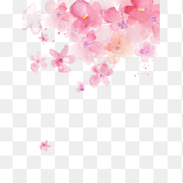 手绘粉色花瓣底纹