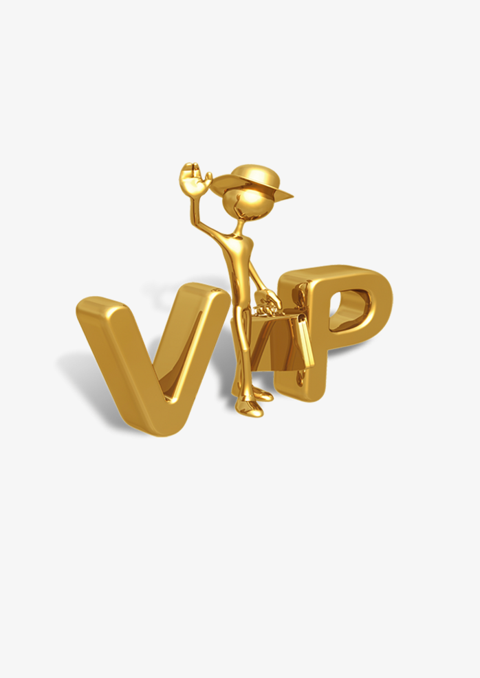 立体金色vip