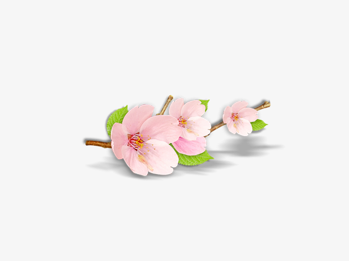 手绘桃花矢量素材