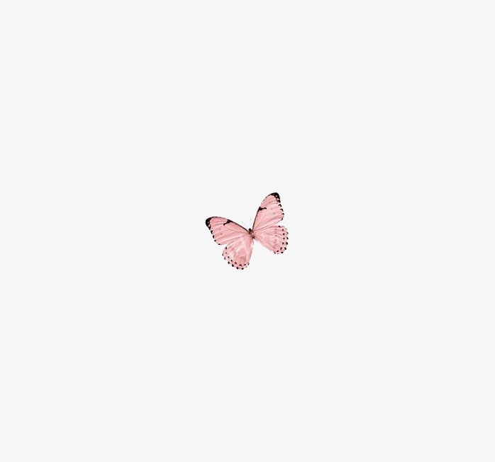 粉色小蝴蝶