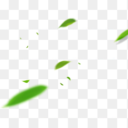 绿色飘浮树叶png元素
