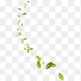 花，叶，自然，花，绿色