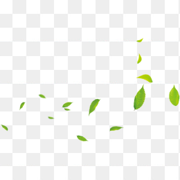绿色飘浮树叶png元素