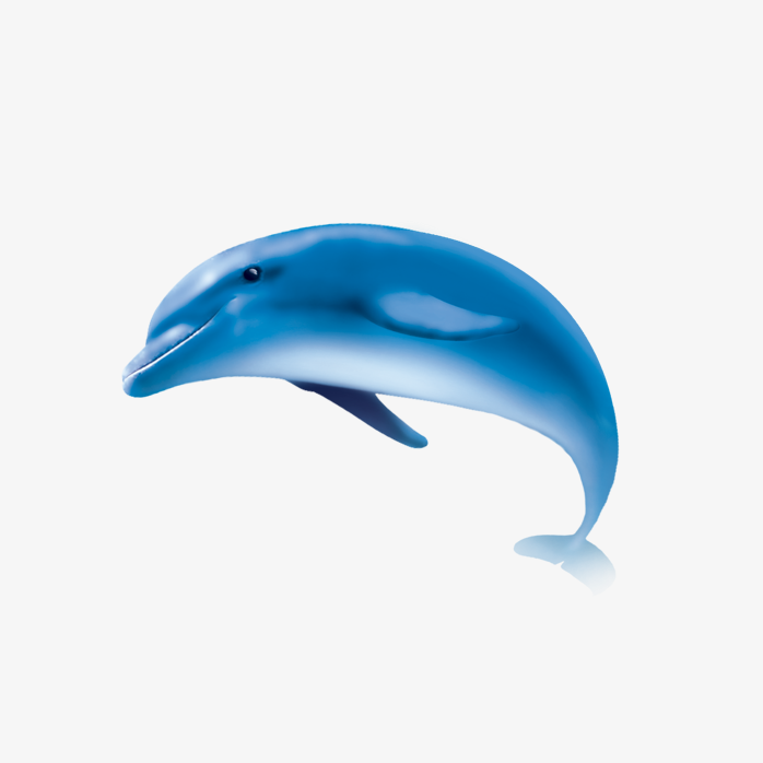 海豚矢量素材