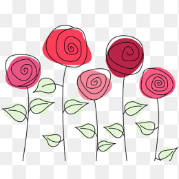 玫瑰花