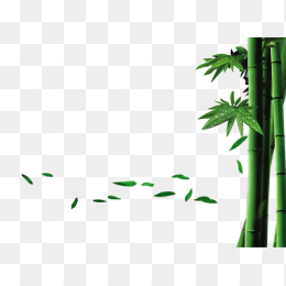 竹子