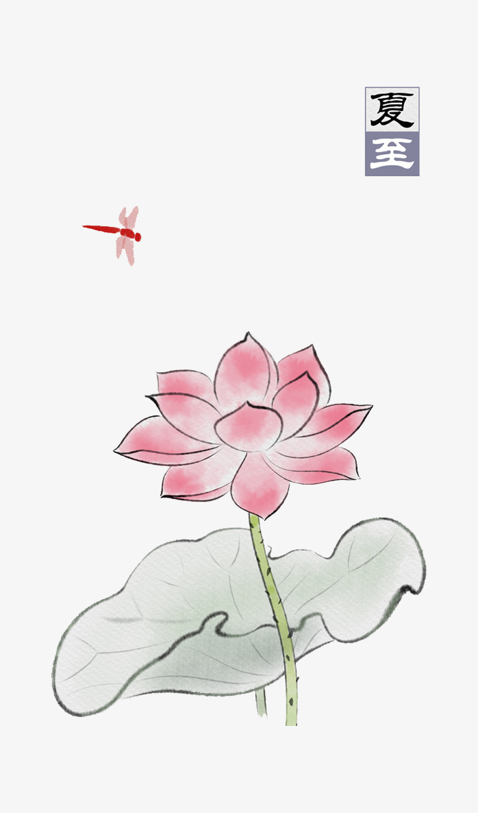 夏至