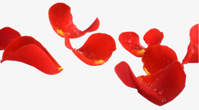 红色花瓣