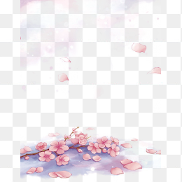 花瓣