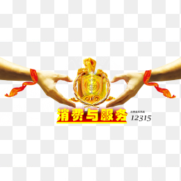 诚信315