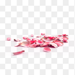 一堆花瓣