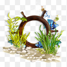 唯美海底素材