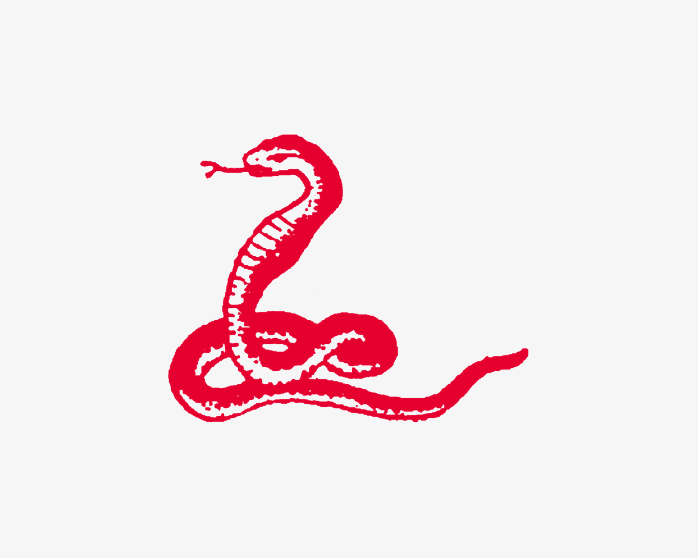 蛇