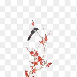 中国风手绘梅花