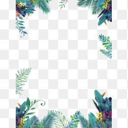 绿色夏日小清新边框