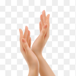 手
